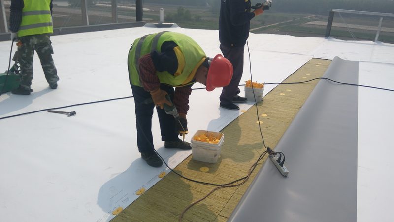 泳池防水材料：如何选择合适的批发厂家